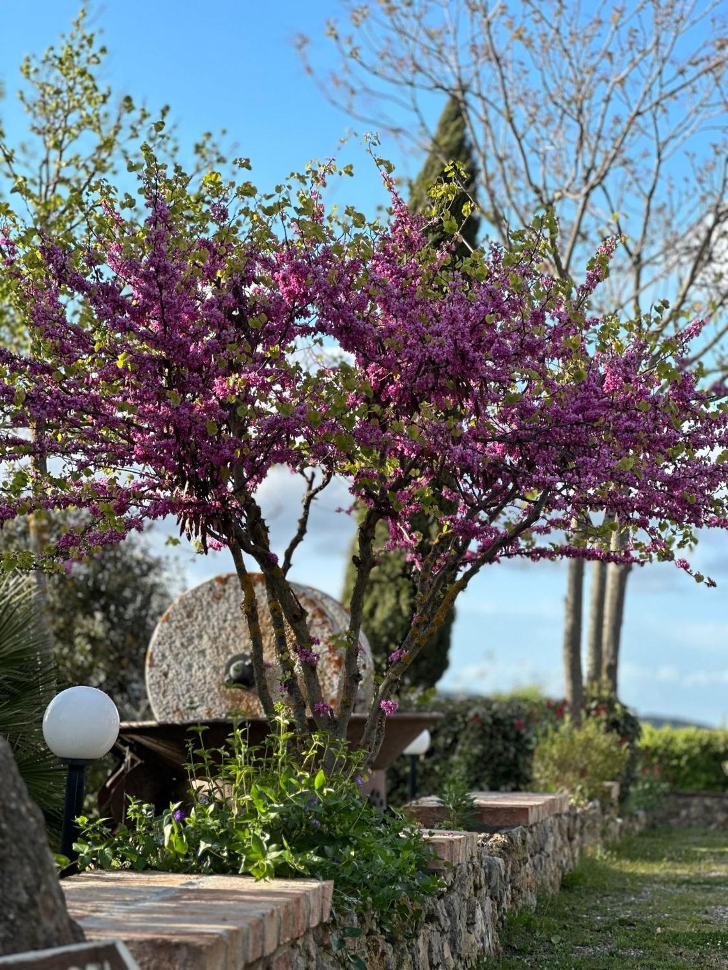 Antico Borgo Il Cardino Bed & Breakfast Сан Джиминяно Екстериор снимка