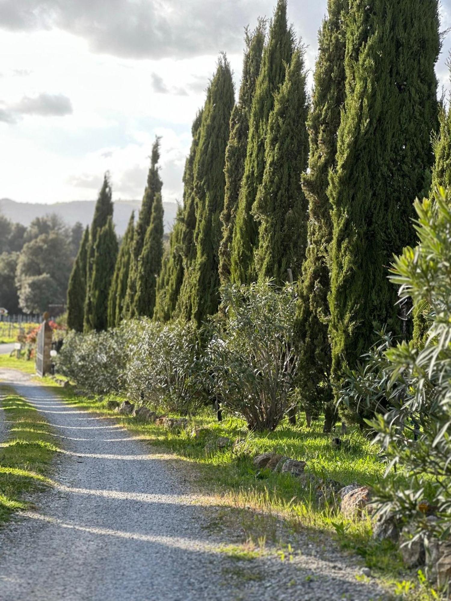 Antico Borgo Il Cardino Bed & Breakfast Сан Джиминяно Екстериор снимка
